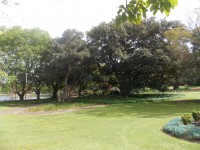 /album/galerie-de-photos-page-daccueil/dscn3568-jpg/